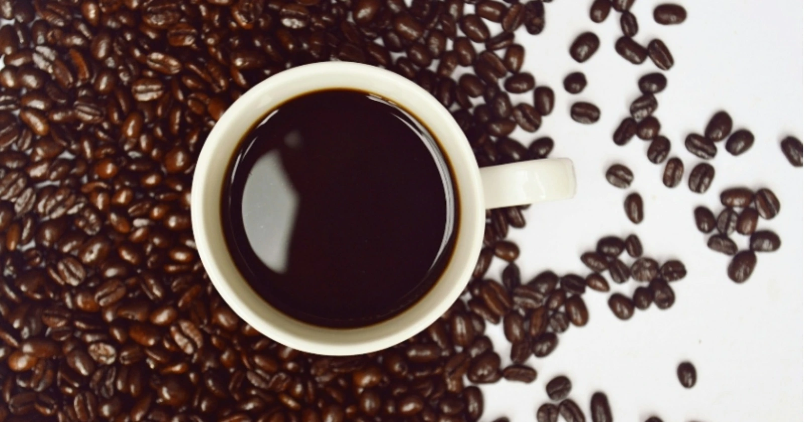 kata bijak kopi